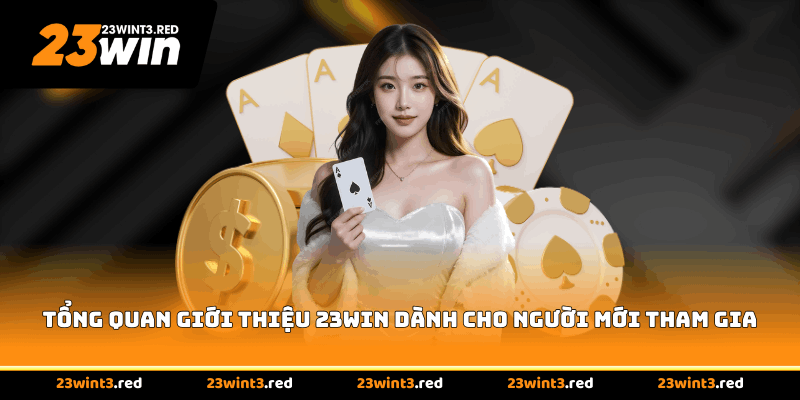 Tổng quan giới thiệu 23WIN dành cho người mới tham gia